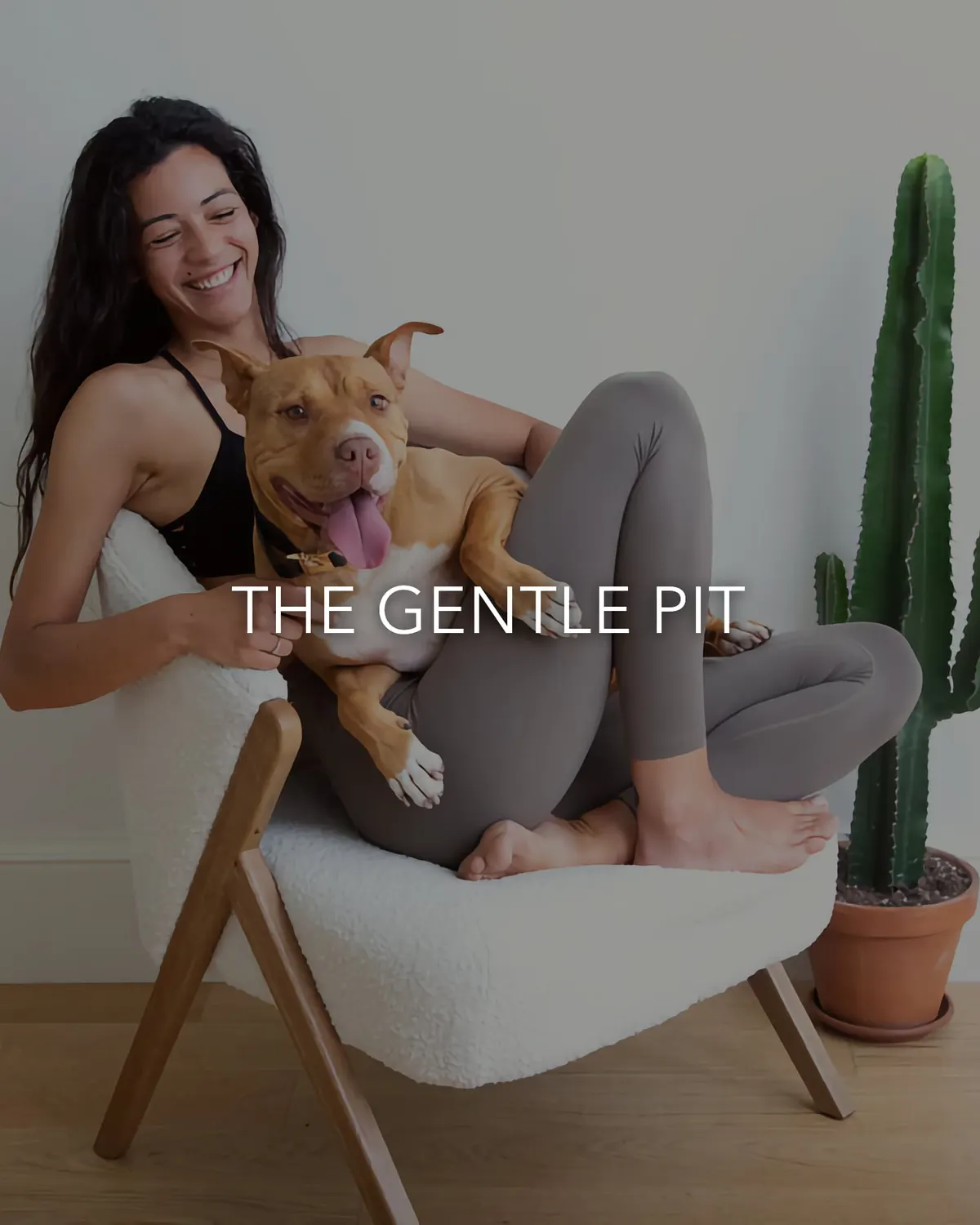 The Gentle Pit case study cover